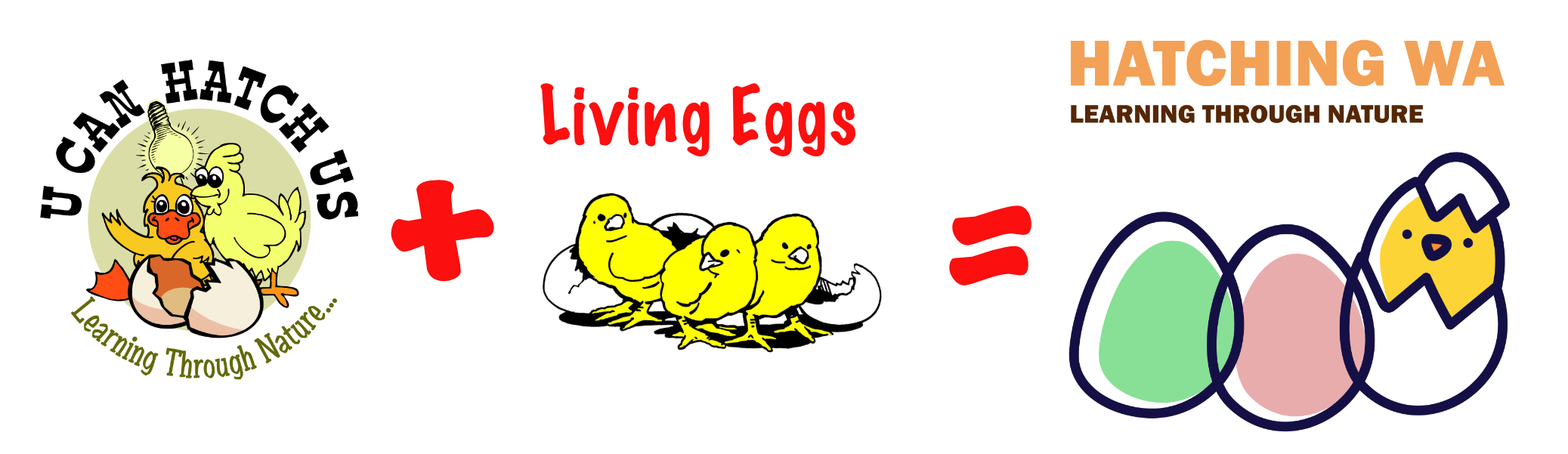 uncanhatchus living eggs wa