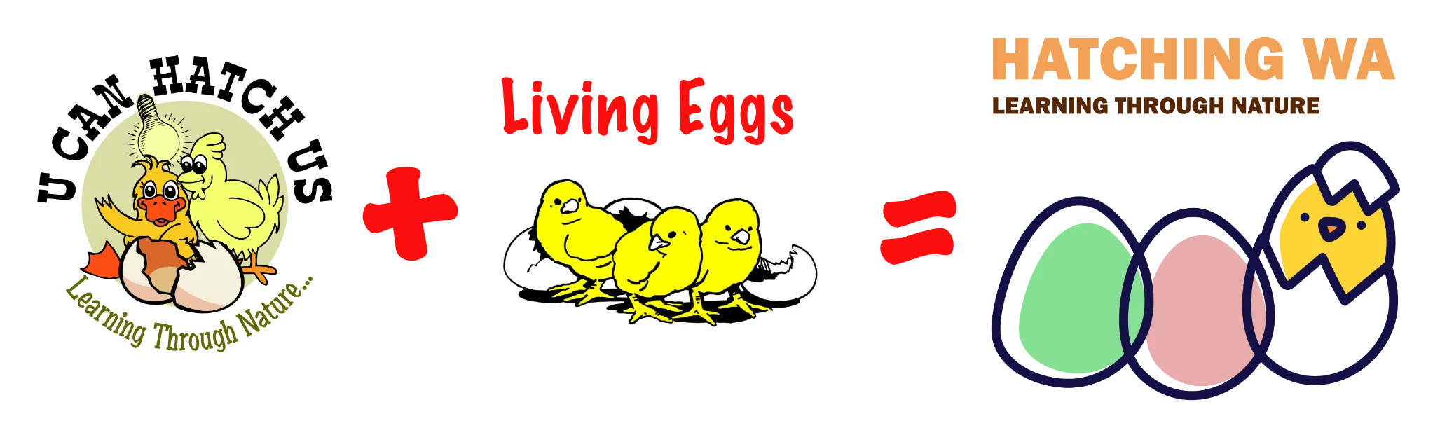 uncanhatchus living eggs wa
